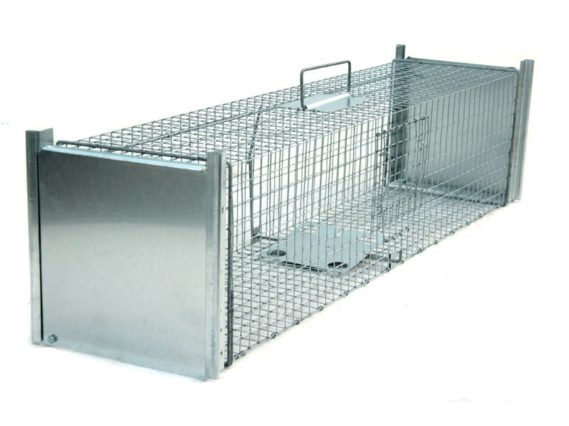 Kenniva Past na kuny, kočky, potkany, krysy, lasičky a tchoře  TRAP ZL120x26x26