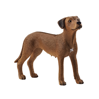 Schleich Zvířátko - pes ridgback rhodéský