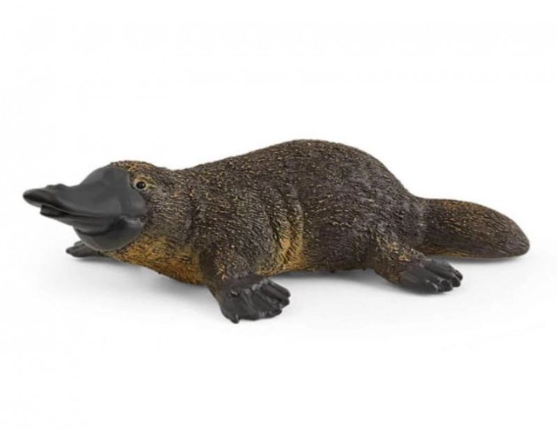 Schleich Zvířátko - ptakopysk