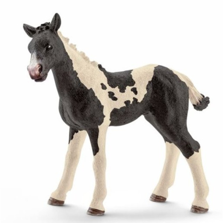 Schleich 13803 Pinto hříbě