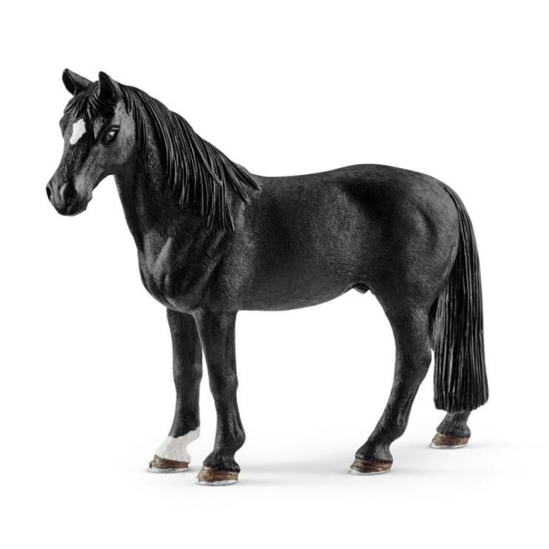 Zvířátko - tenessee valach