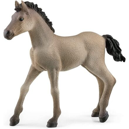 Schleich Zvířátko - hříbě Criollo Definitivo