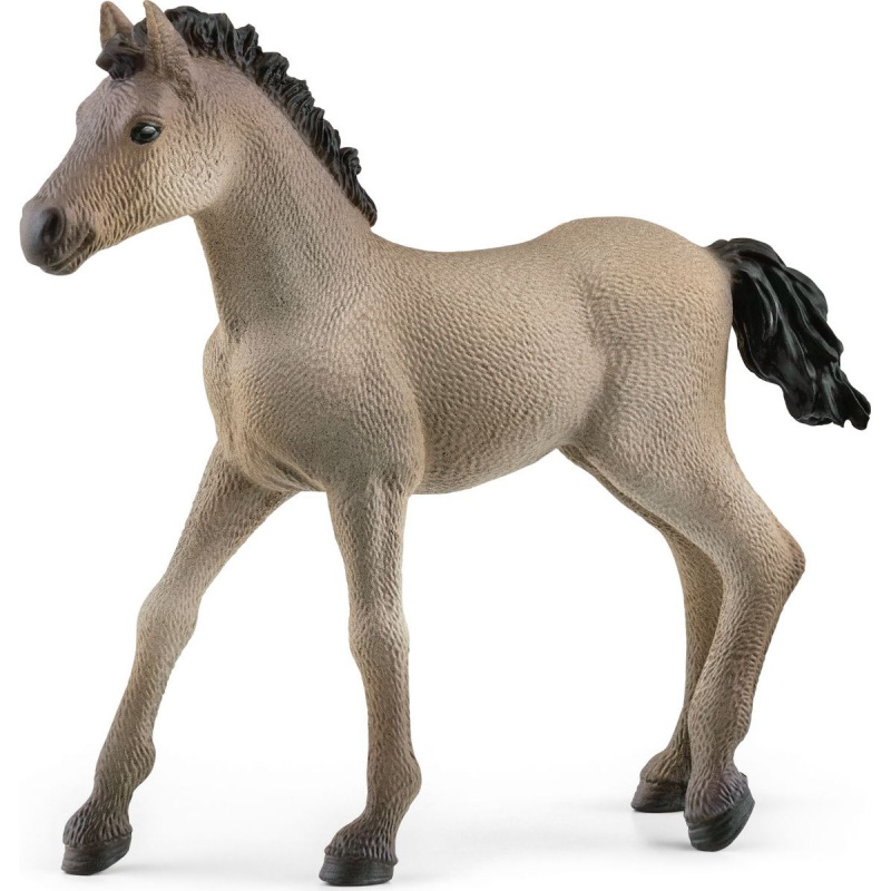 Schleich Zvířátko - hříbě Criollo Definitivo