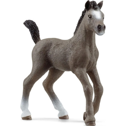 Schleich Zvířátko - Hříbě plemene Selle Français