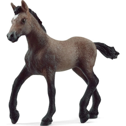 Schleich Zvířátko - Hříbě plemene peruánský paso