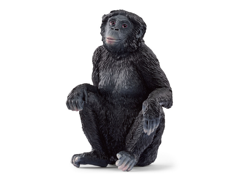 Schleich 14875 Zvířátko - samice šimpanze Bonobo