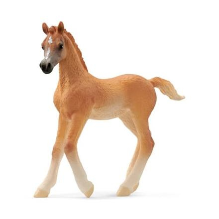 Schleich - Kůň, Arabské hříbě