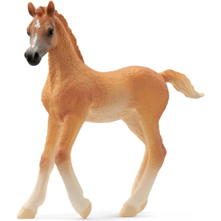 Schleich - Kůň, Arabské hříbě