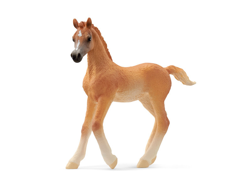 Schleich - Kůň, Arabské hříbě
