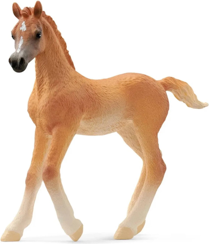 Schleich - Kůň, Arabské hříbě