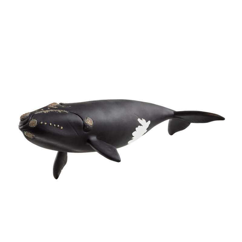 Schleich 14878  Velryba severoatlantická
