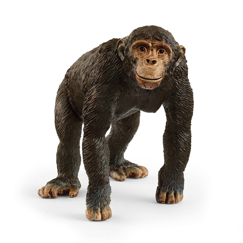 Schleich 14883 Zvířátko - Šimpanz