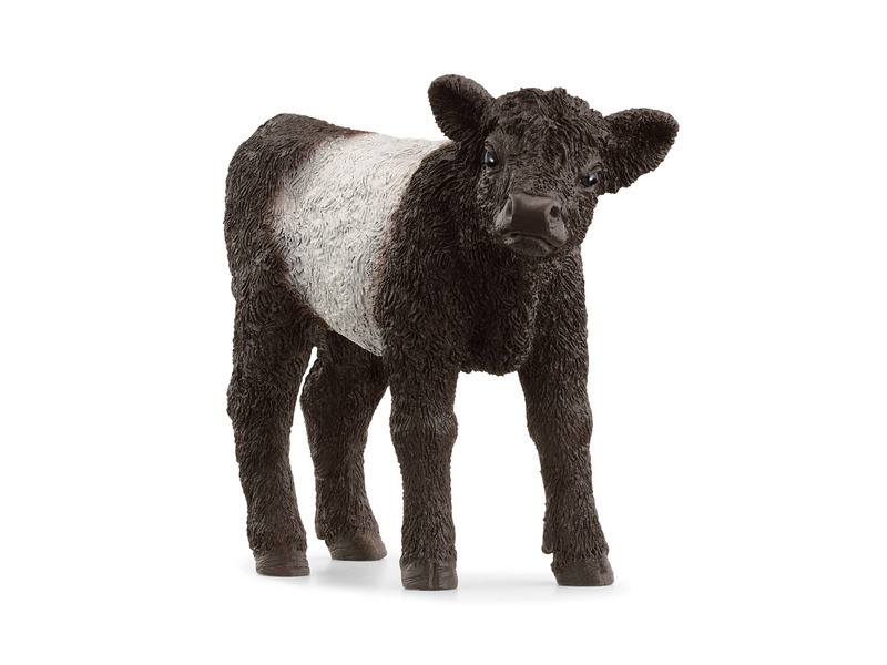 Figurka plemene Galloway
