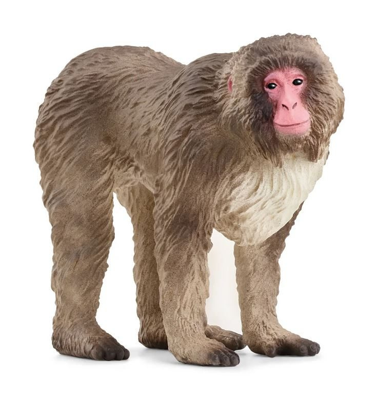 Schleich 14871 Zvířátko - makak červenolící