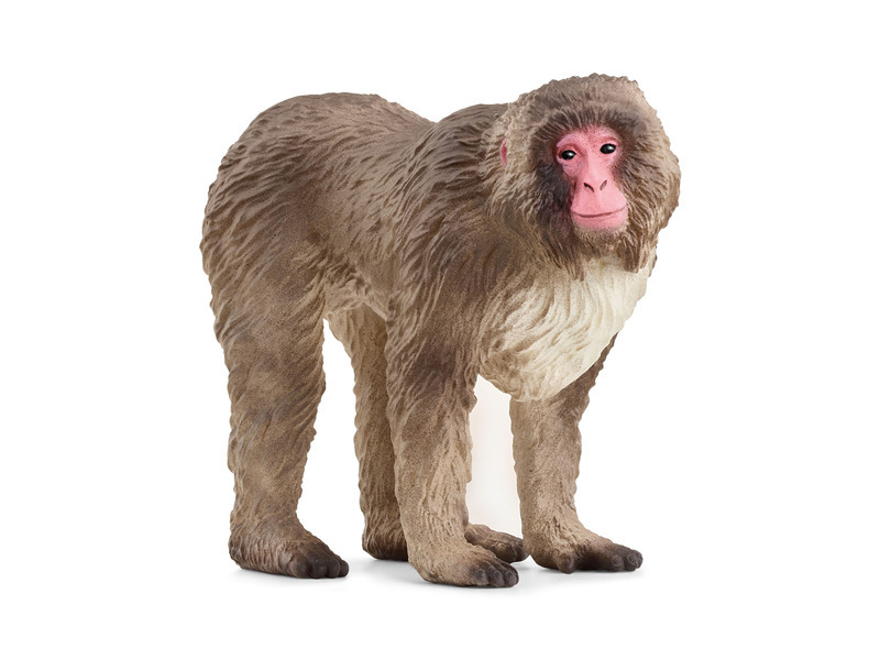 Schleich 14871 Zvířátko - makak červenolící
