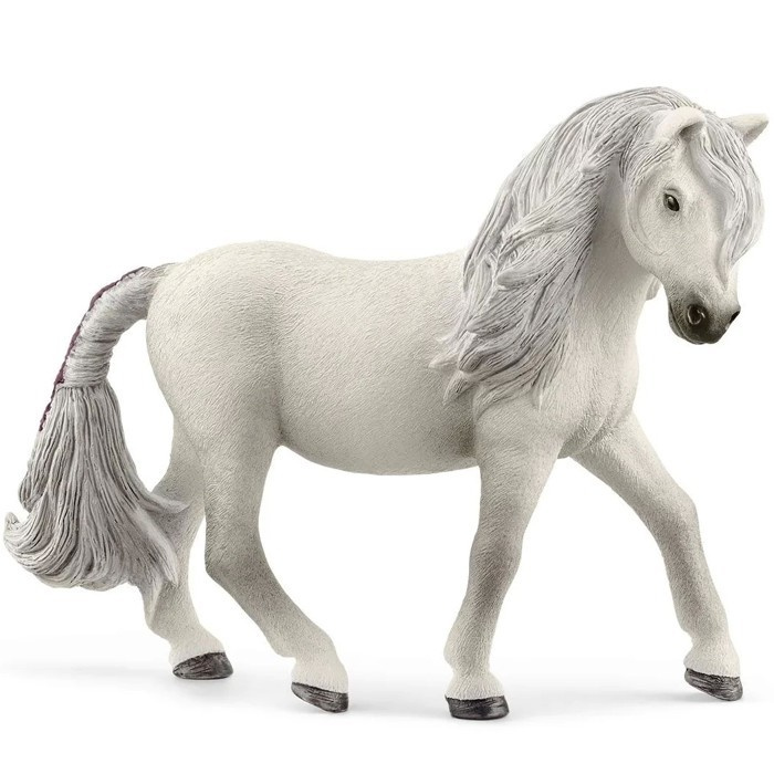 Kobyla islandského ponyho