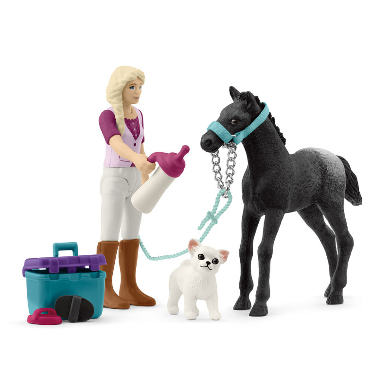 Schleich - Jezdecký klub, Hrací sada Péče o koně s hříbětem Appaloosa