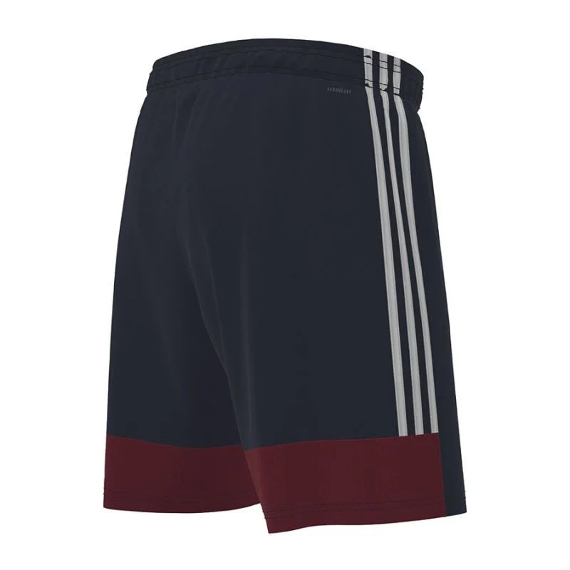 Pánské šortky Tastigo 19 M FI6355 - Adidas S