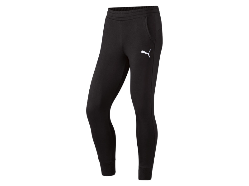 Puma Pánské tepláky teamGoal (Xl, černá)