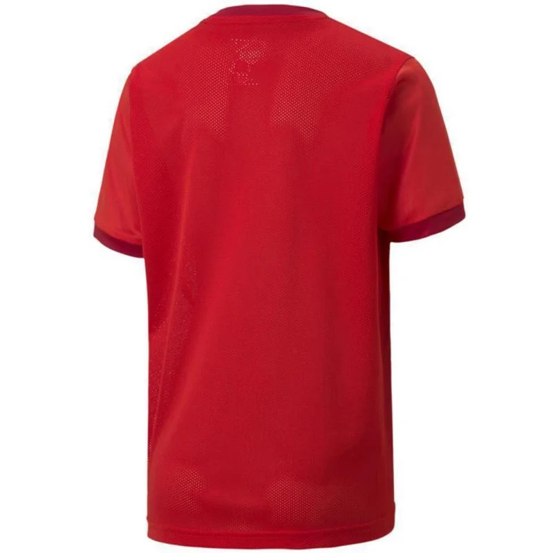 Puma teamGOAL 23 Jersey Jr 704160 01 tričko 116CM