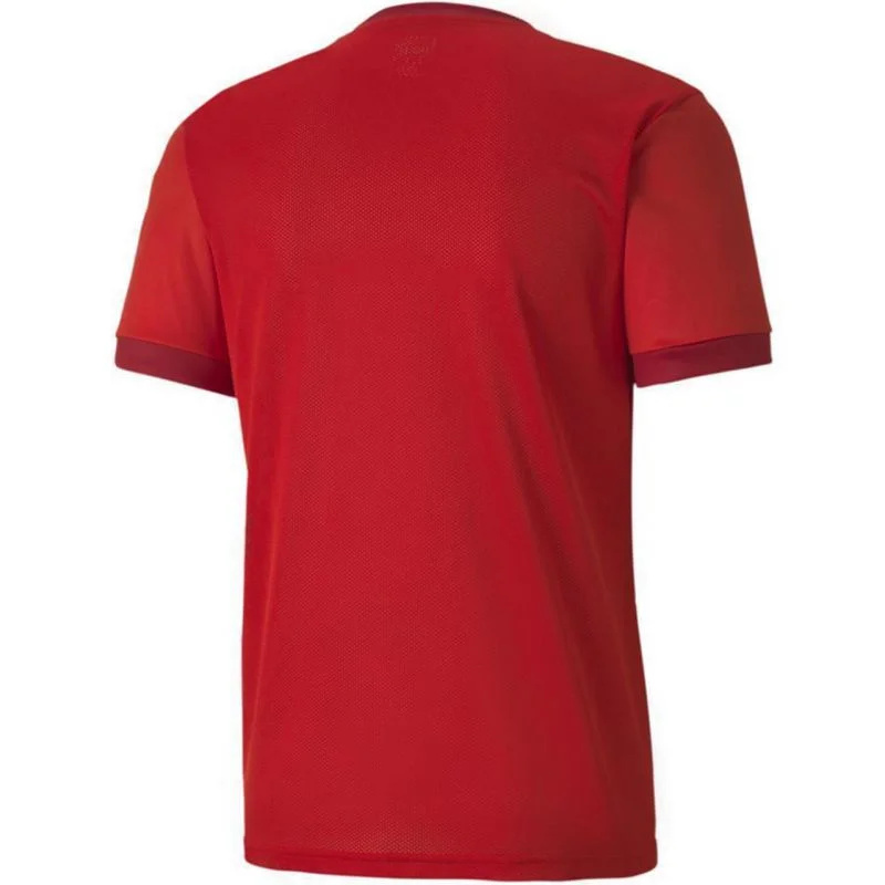 Pánské tričko Puma teamGOAL 23 Jersey M 704171 01 L