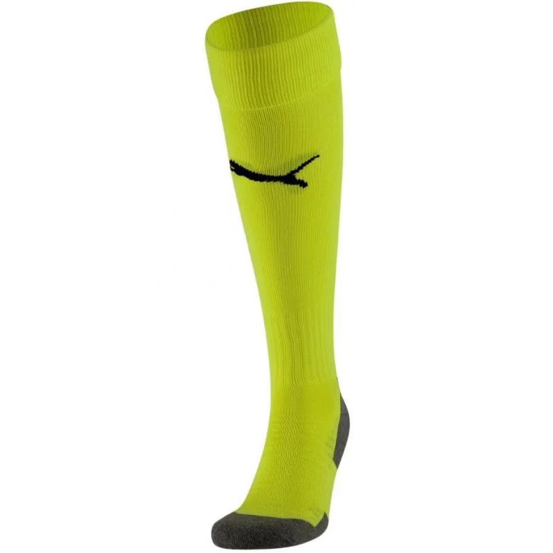 Puma Team Liga Socks Core fotbalové kamaše 703441 33 43-46
