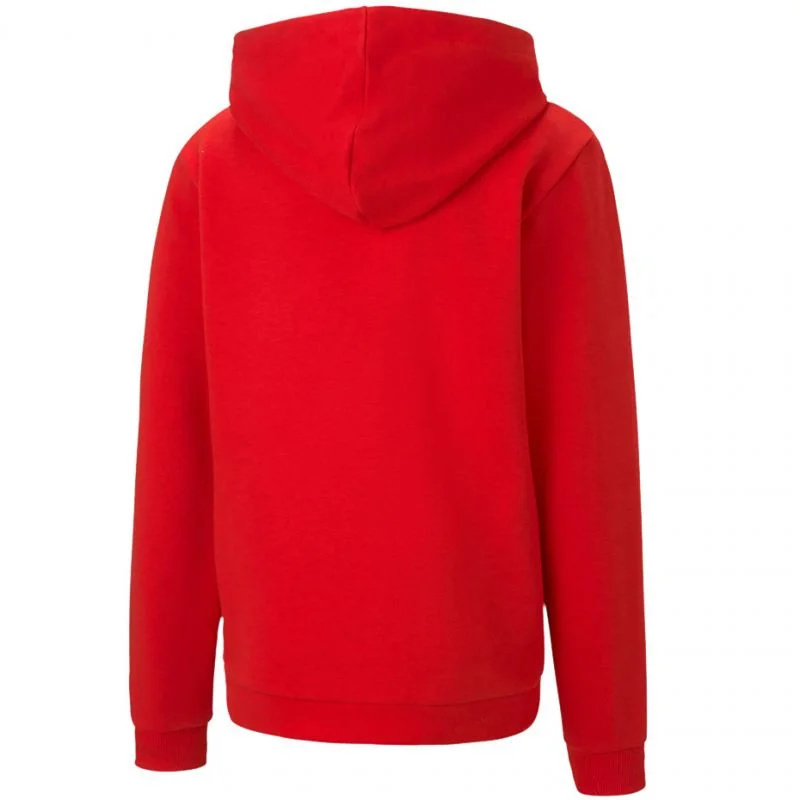 Dětská mikina TeamGOAL 23 Casuals Jr 656711 01 - Puma 116