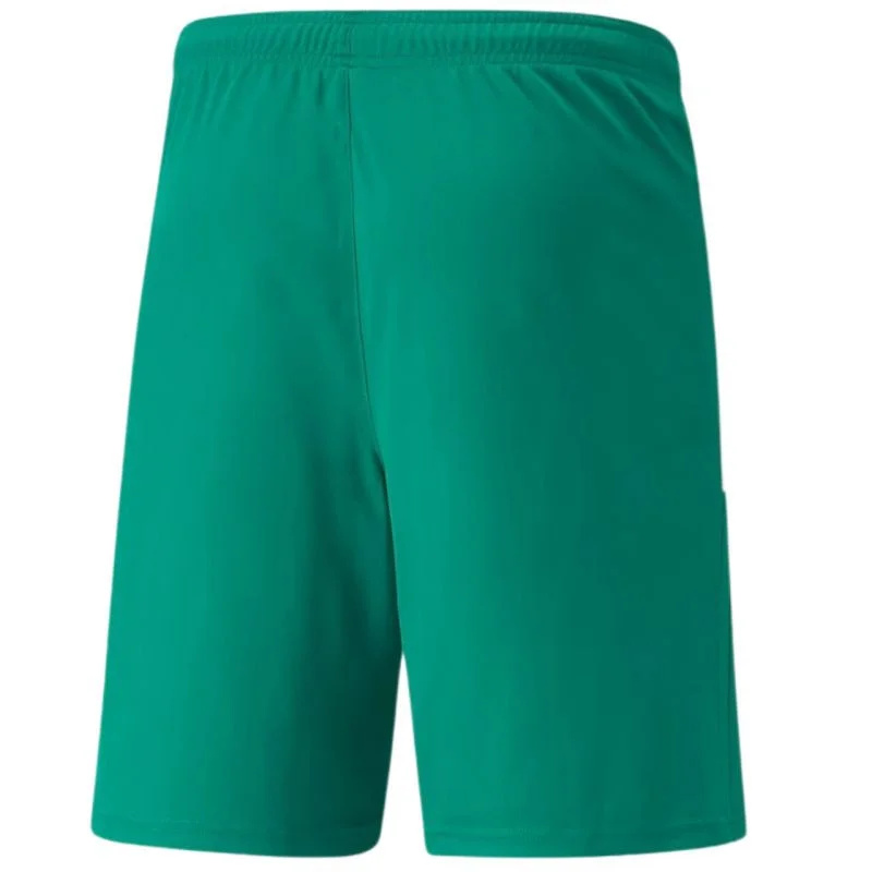 Šortky Puma teamLiga M 704924 05 M