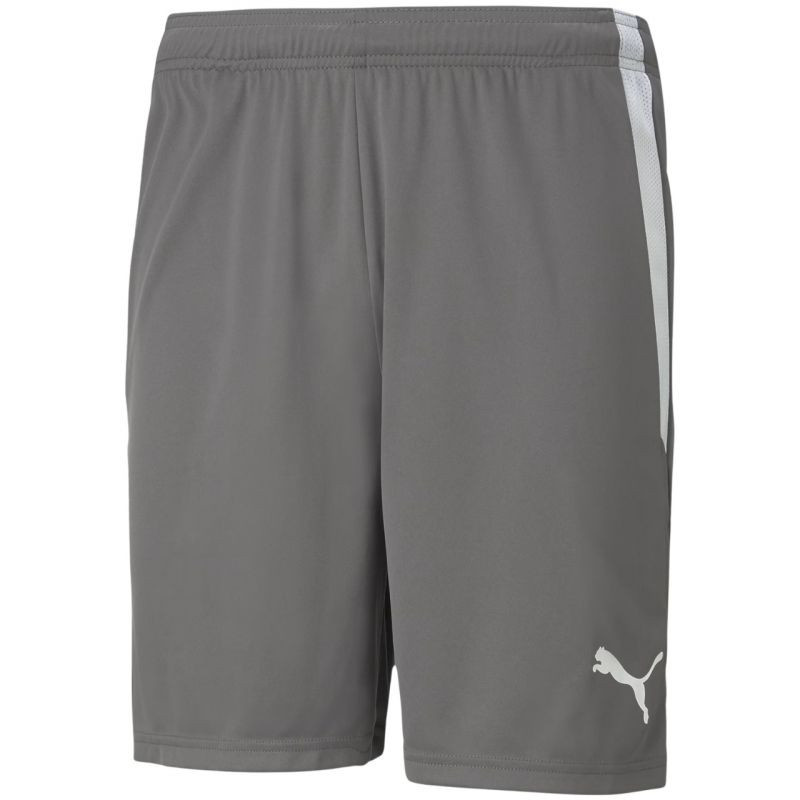 Puma teamLIGA M 704924 13 šortky s