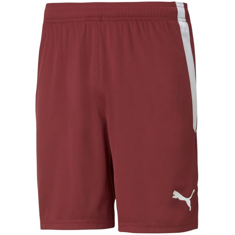 Puma teamLIGA M 704924 09 šortky XL