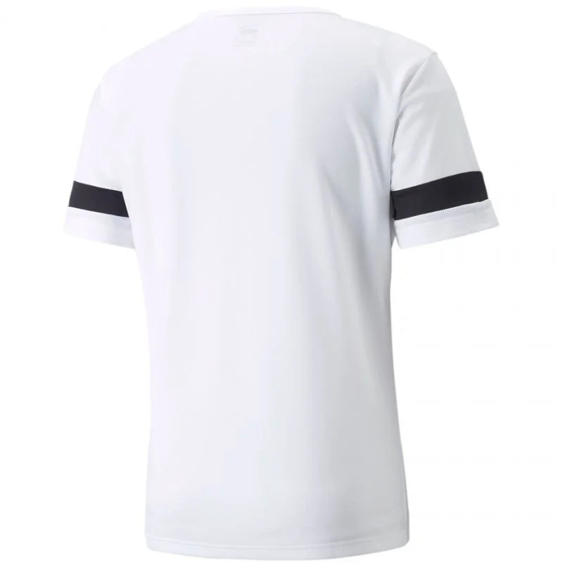 Pánské boty teamRISE M 704932 04 - Puma M