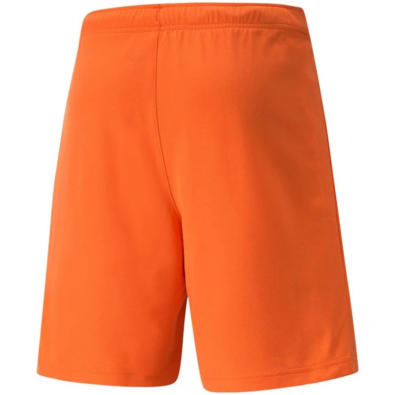 Pánské kraťasy TeamRise Short Prist M 704942 08 - Puma L