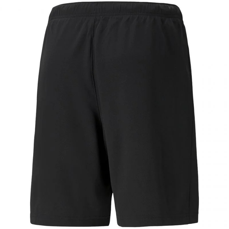 Pánské kraťasy teamRISE Short M 704942 04 - Puma L