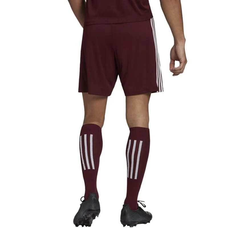 Pánské kraťasy Squadra 21 Short M GN8083 - Adidas S