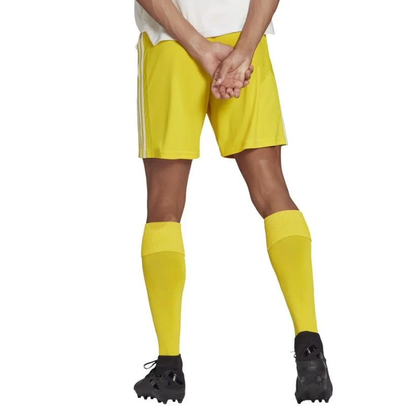 Pánské kraťasy Squadra 21 Short M GN5772 - Adidas xs