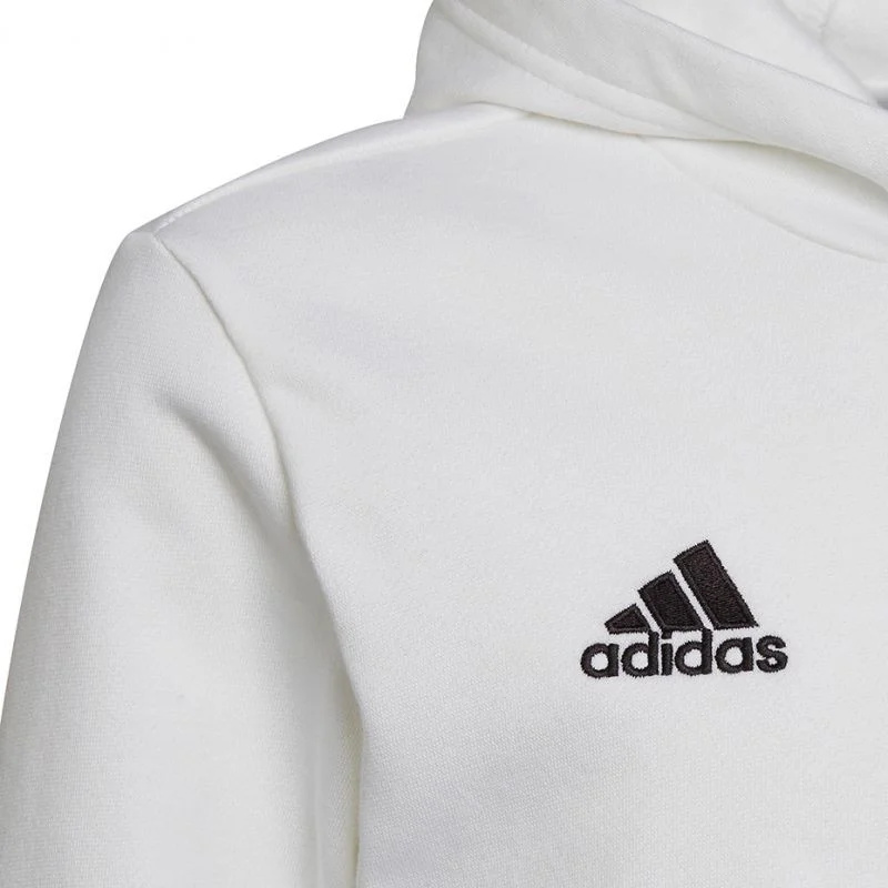 Dětská mikina Adidas Entrada 22 Hoody Jr HG6303 152cm
