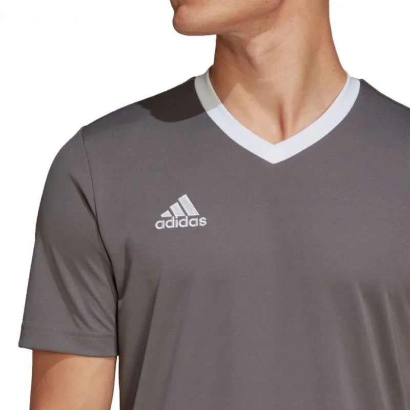 Pánské tričko Adidas T-shirt Entrada 22 Jersey M HE1574 pánské m