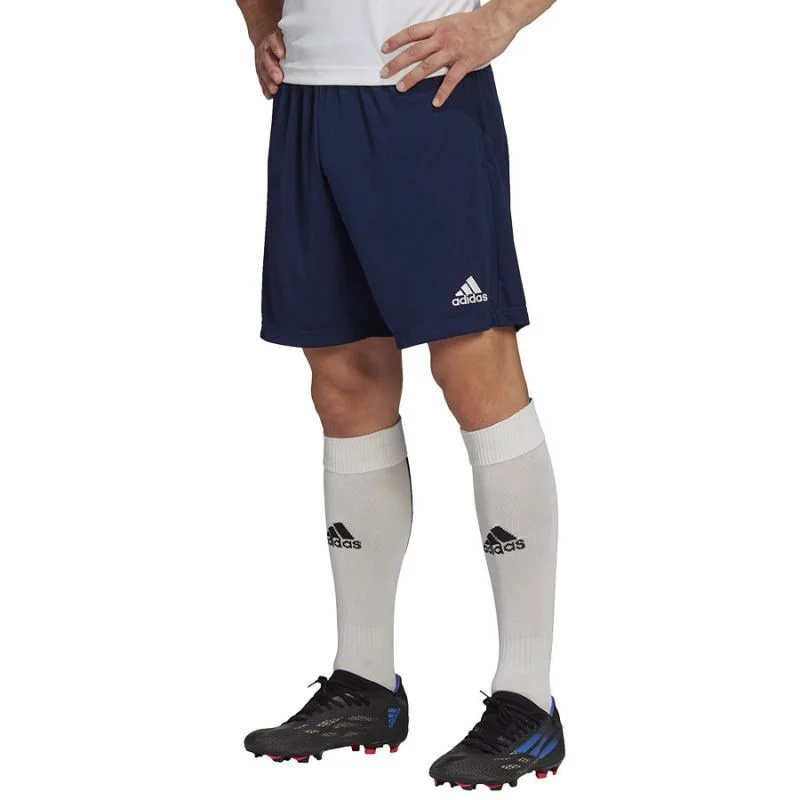 Pánské tréninkové šortky Entrada 22 M H57488 - Adidas L