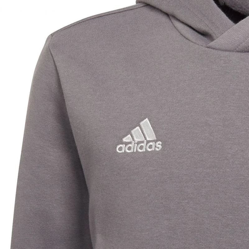 Dětská mikina Adidas Entrada 22 Hoody Jr H57515 152cm