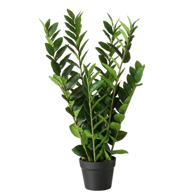 Boltze Home Umělá květina zamiokulkas v květináči, 76 cm zelená