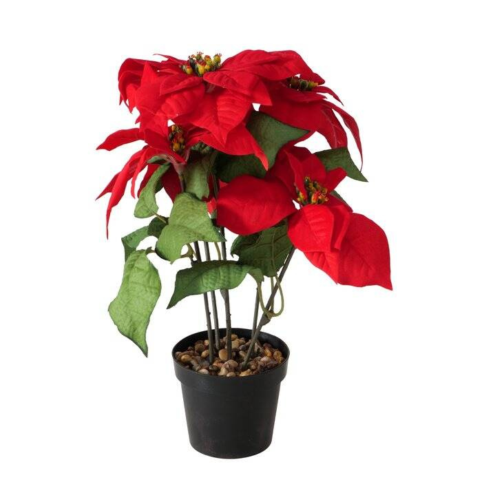 Boltze Home Vánoční umělá betlémská hvězda, výš. 40 cm červená