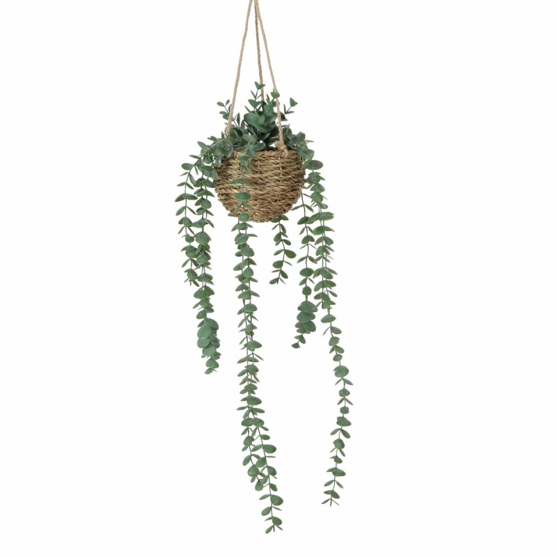Boltze Umělá závěsná rostlina EUKALYPTUS, 78 cm vícebarevná