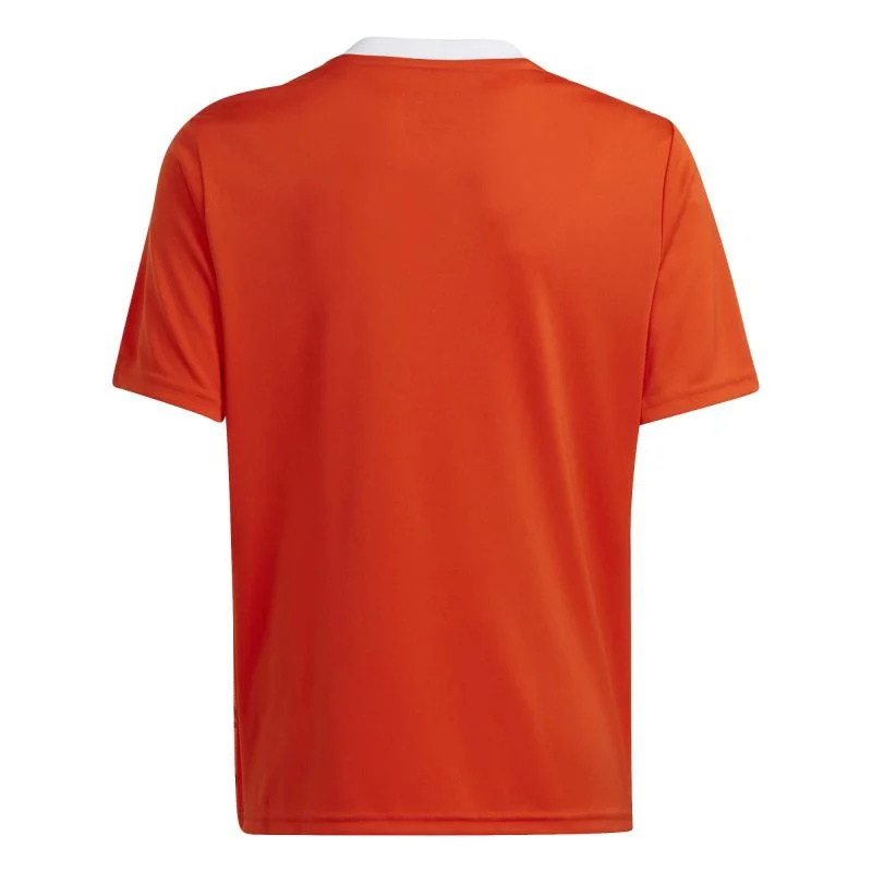 Tričko adidas Team Icon 23 Jr IC1254 140