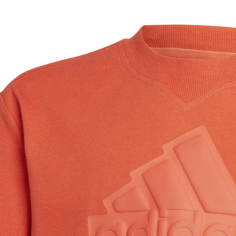Dětské tričko FI Logo Jr HR6296 - Adidas 176 cm