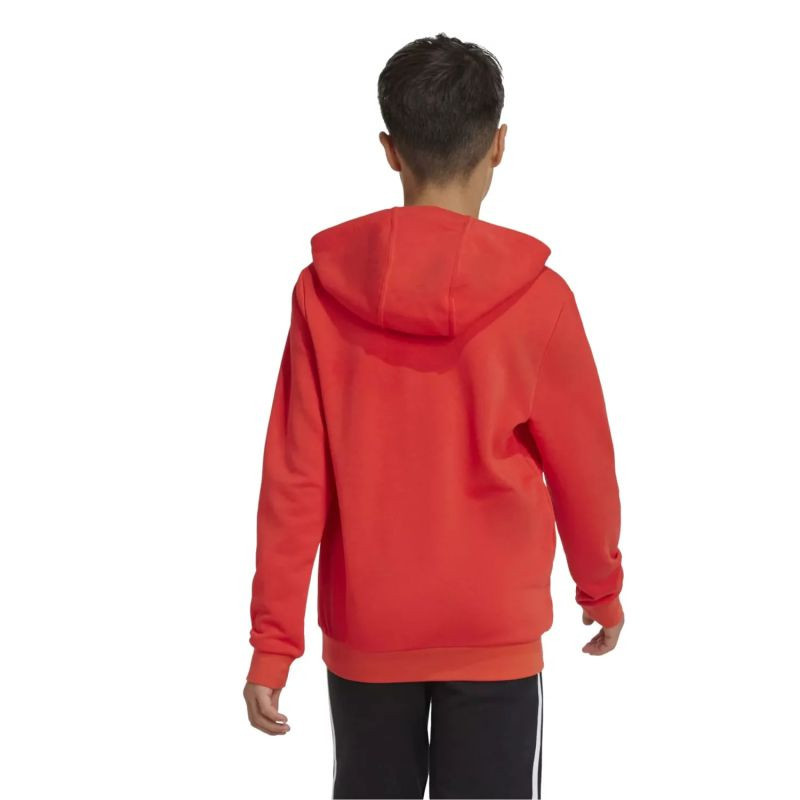 Mikina adidas Big Logo Hoodie Jr IX9531 152