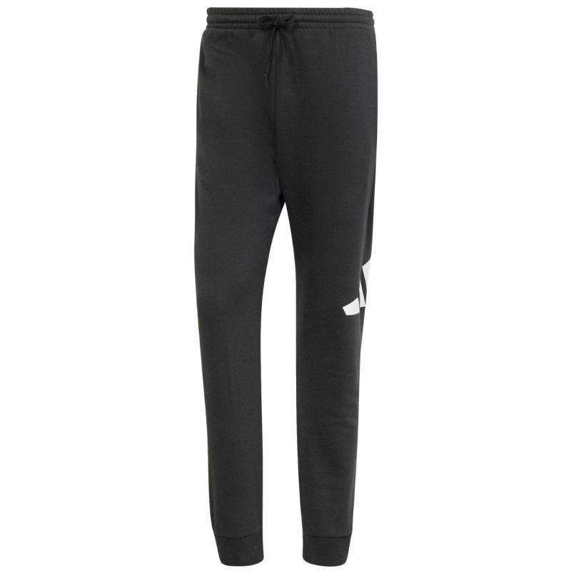 Kalhoty adidas Essentials Big Logo French Terry M IN6163 2 XL