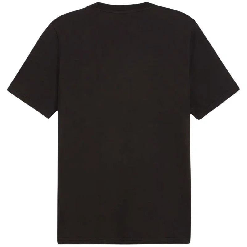 Puma Graphics Summer Sports Tee II M 627909 01 pánské tričko s