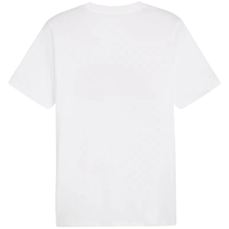 Puma Graphics Summer Sports Tee II M 627909 02 pánské tričko XL