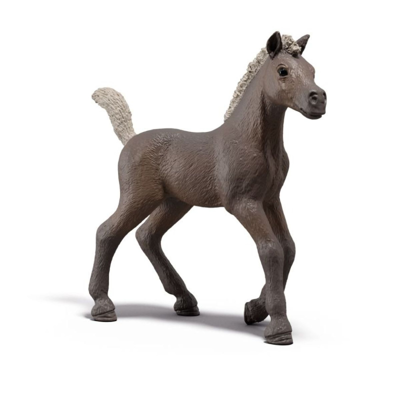 Schleich 81460 hříbě darcy