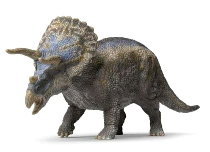 Schleich 15050 triceratops